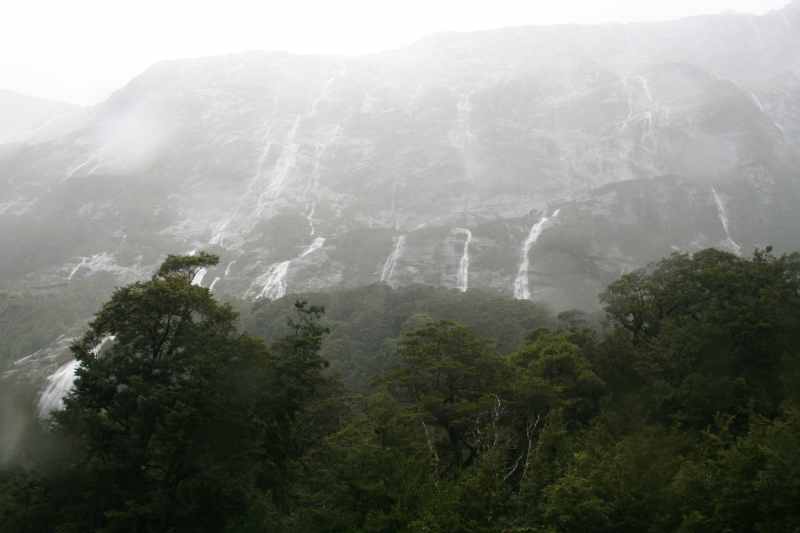 Nieuw-Zeeland 2011 - 1718